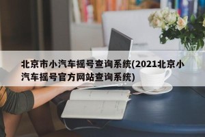 北京市小汽车摇号查询系统(2021北京小汽车摇号官方网站查询系统)