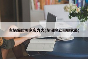 车辆保险哪家实力大(车保险公司哪家最)