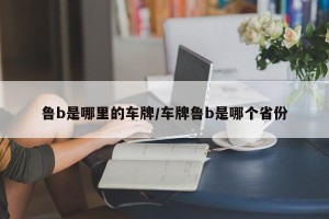 鲁b是哪里的车牌/车牌鲁b是哪个省份