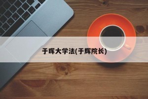 于晖大学法(于辉院长)