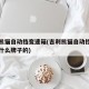 吉利熊猫自动挡变速箱(吉利熊猫自动挡变速箱是什么牌子的)