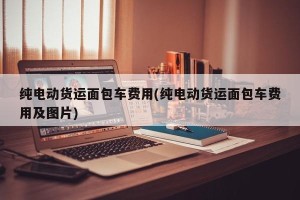 纯电动货运面包车费用(纯电动货运面包车费用及图片)