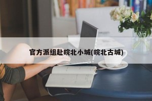 官方派组赴皖北小城(皖北古城)